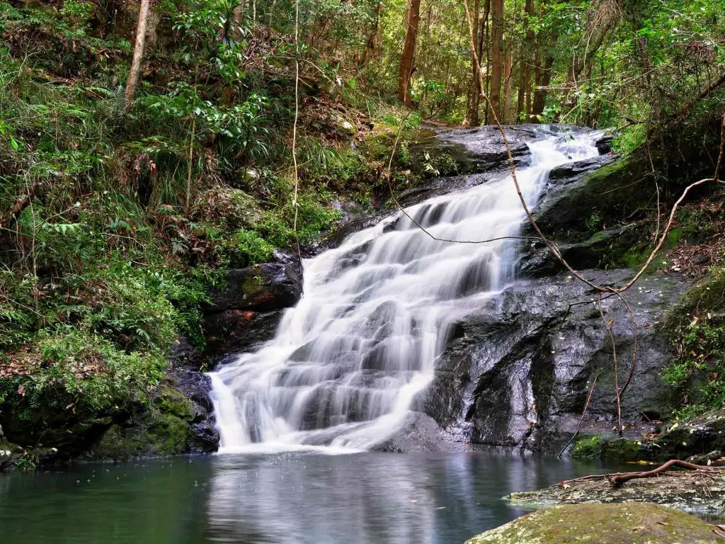 Kondalilla-National-Park