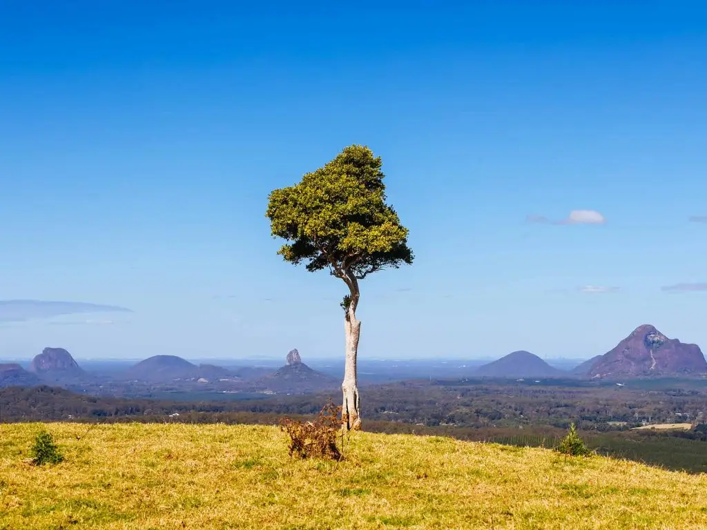 Sunshine Coast Maleny